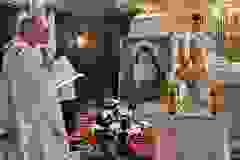 a6acaeea-3125-4406-82aa-fa45cedbdd10