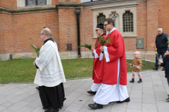 Niedziela-Palmowa-2026-12