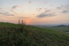 IMG_0449